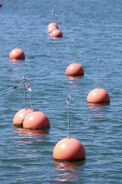 Plan Vertical Bouées Rouges Dans Eau Alter Strom Mecklembourg Poméranie — Photo