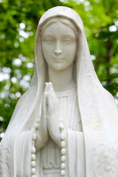 Eine Vertikale Aufnahme Einer Jungfrau Maria Statue Einem Garten Mit — Stockfoto