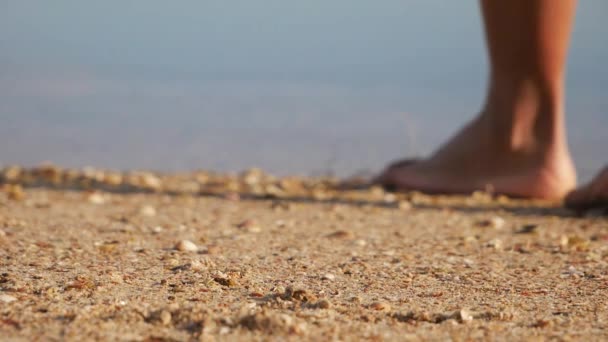 Pés Femininos Andando Descalços Praia Areia — Vídeo de Stock