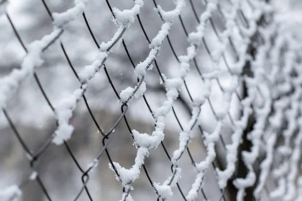 Een Close Shot Van Een Metalen Net Hek Bedekt Met — Stockfoto