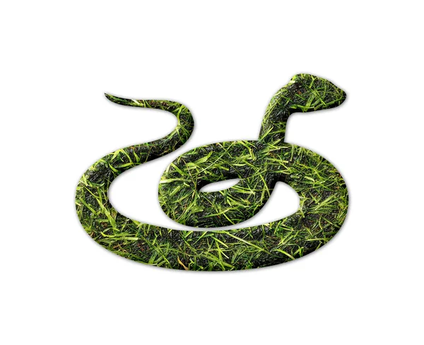 Hadí Postava Otiskem Trávy Izolovaným Bílém Pozadí — Stock fotografie
