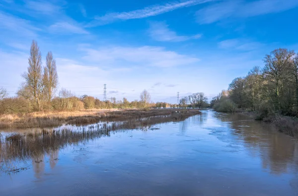 Zbliżenie Rzeki Attingham Park Shrewsbury Anglia — Zdjęcie stockowe
