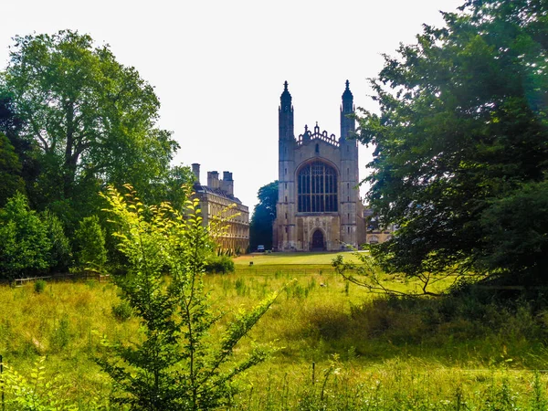 Kings College Chapel Bak Trærne Cambridge Storbritannia – stockfoto