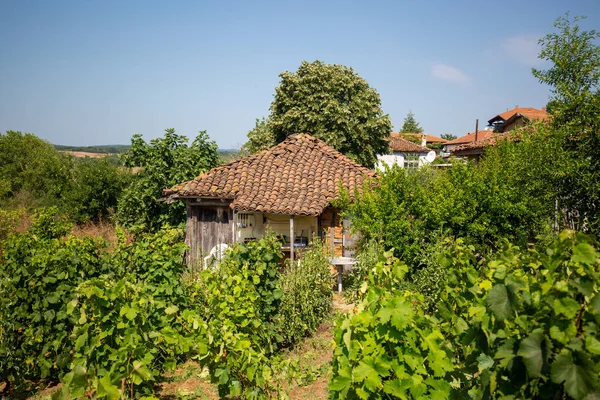 Schöne Aufnahme Eines Kleinen Hauses Mit Ziegeldach Einem Grünen Garten — Stockfoto