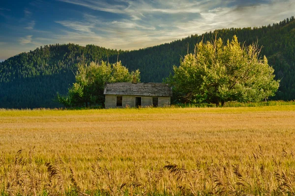 Una Bella Foto Della Casa Legno Nel Campo Coltivato Fronte — Foto Stock