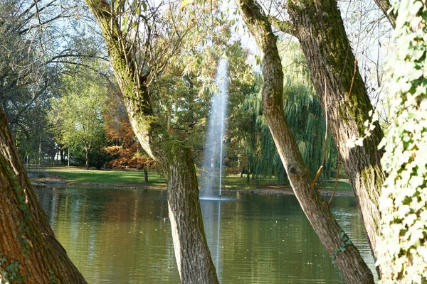 Słoneczny Park Małym Jeziorkiem Fontanną Widzianą Przez Drzewa — Zdjęcie stockowe