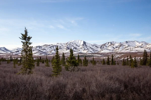 Захватывающий Снимок Национального Парка Денали Аляска — стоковое фото