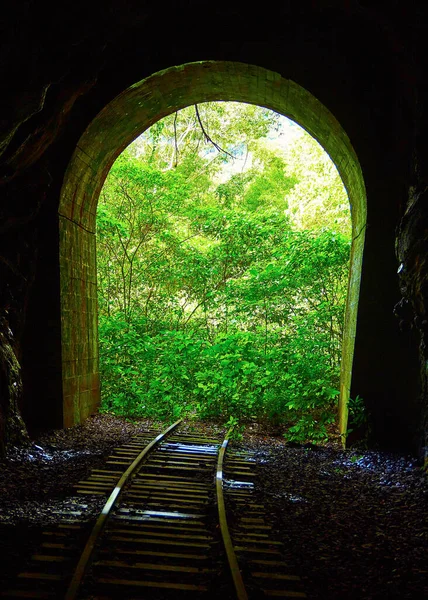 通过隧道观看通往森林的火车轨道 — 图库照片