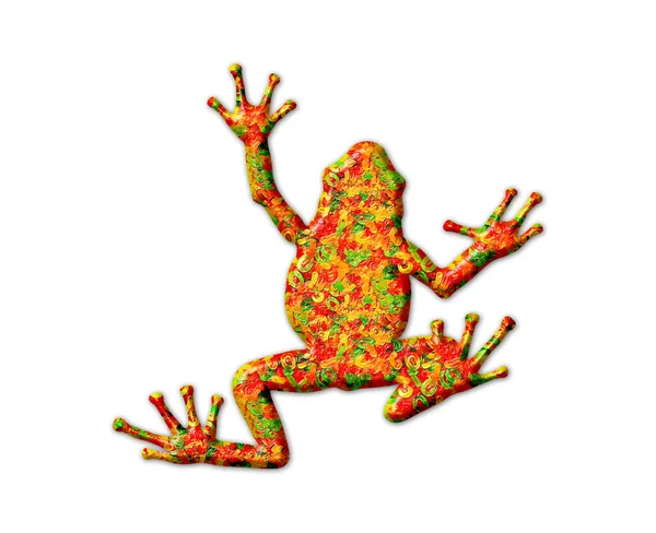 Illustration Isolée Une Grenouille Colorée Sur Fond Blanc — Photo