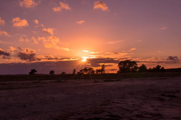 Krásný Výhled Stromy Pláži Pod Západem Slunce — Stock fotografie