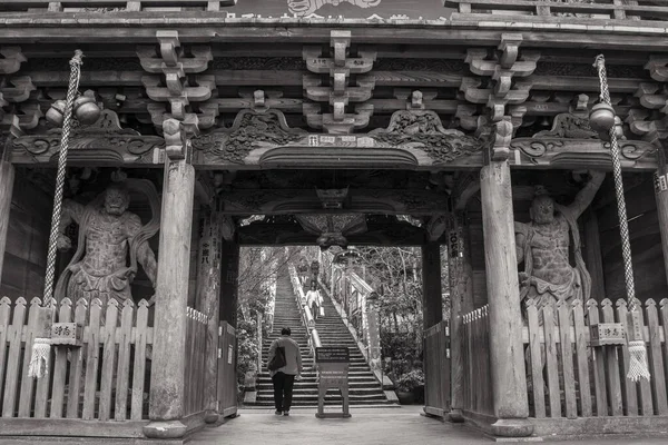 Uma Foto Tons Cinza Uma Pessoa Entrando Templo Miyajima Japão — Fotografia de Stock