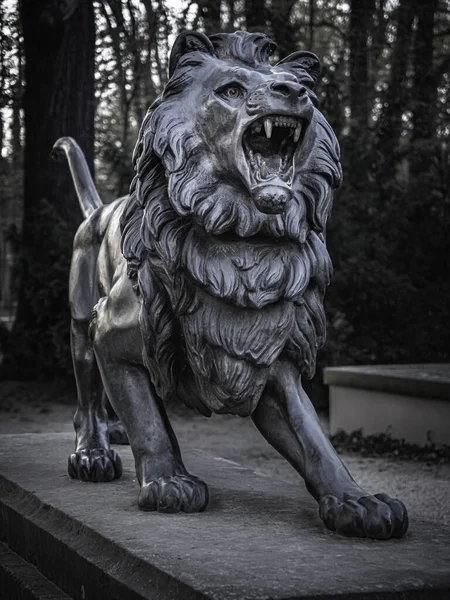 Escultura Leão Parque Branitz Perto Cottbus — Fotografia de Stock