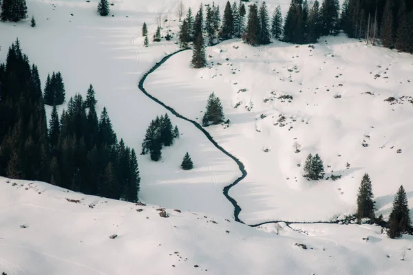 冬の間に雪に覆われたフィールドのぼやけたショット — ストック写真