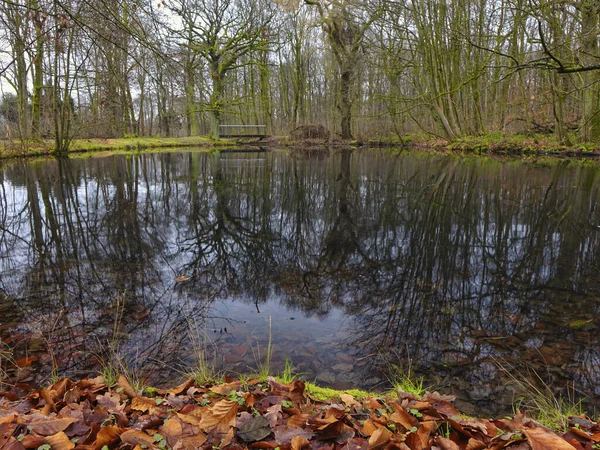 Ein See Einem Park Mit Spiegelungen Der Bäume Wasser — Stockfoto