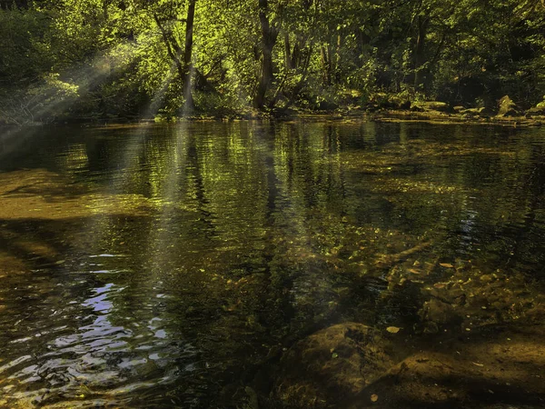 Une Image Pays Idyllique Lumière Eau Végétation Couleurs Calme — Photo