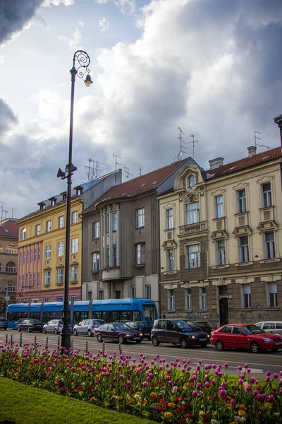 Zagreb Croacia Abril 2012 Calle Mihanoviceva Centro Zagreb Croacia Con — Foto de Stock