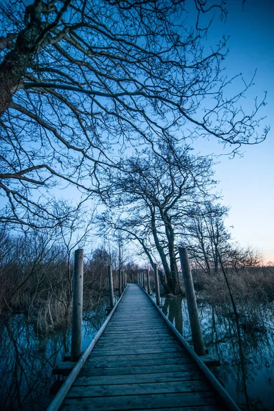 Вертикальный Выстрел Деревянного Моста Пересекающего Озеро Голубым Небом Осенью — стоковое фото