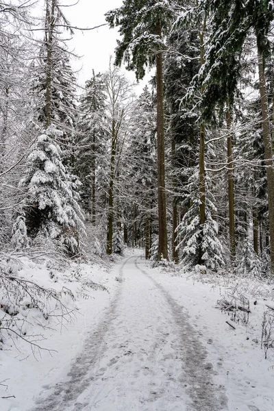 Ένα Όμορφο Χιονισμένο Χειμερινό Τοπίο Στο Μαύρο Δάσος Γερμανία — Φωτογραφία Αρχείου