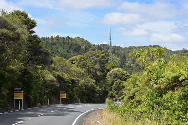 Auckland Nuova Zelanda Dic 2020 Veduta Piha Road Con Albero — Foto Stock