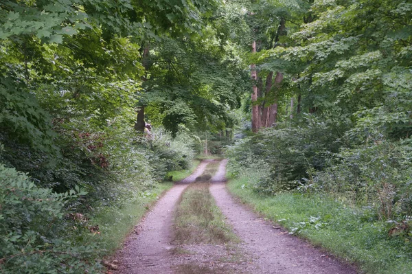 Vacker Bild Väg Park — Stockfoto