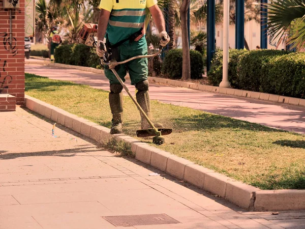 Enfoque Poco Profundo Una Persona Cortando Hierba Con Una Cortadora — Foto de Stock