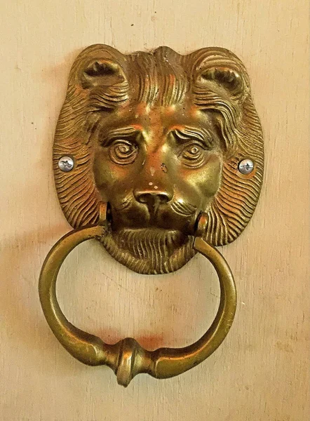 Vertical Shot Golden Lion Door Knocker — Stock Photo, Image