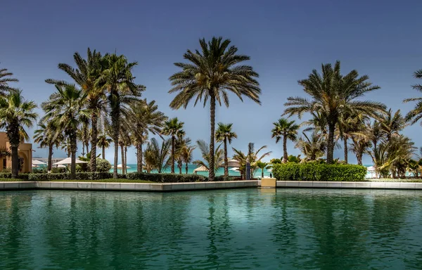 Eine Schöne Aufnahme Von Palmen Wasser Dubai — Stockfoto