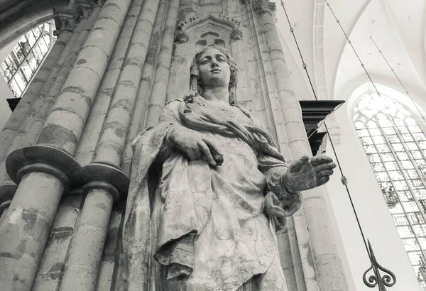 Obrázek Sochy Svaté Marie Panny Marie Velkého Kamene Bruselské Katedrále — Stock fotografie