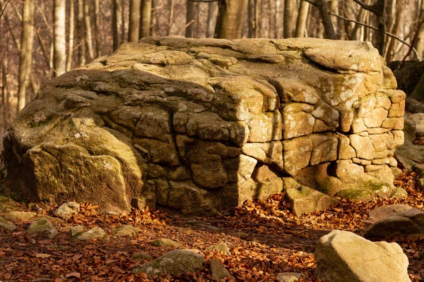 在被干枯的树叶覆盖的森林里的岩石形成的特写镜头 — 图库照片