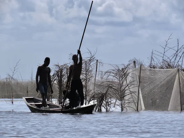 Ganvie Benin Maio 2018 Dois Pescadores Verificando Suas Redes Barco — Fotografia de Stock