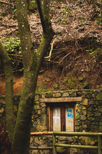 Tahta Çitleri Evi Olan Eski Yeşil Bir Ormanın Dikey Odak — Stok fotoğraf