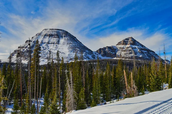 霜の山の美しいショット — ストック写真
