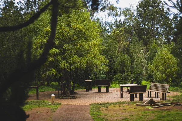 Les Bancs Bois Dans Parc — Photo