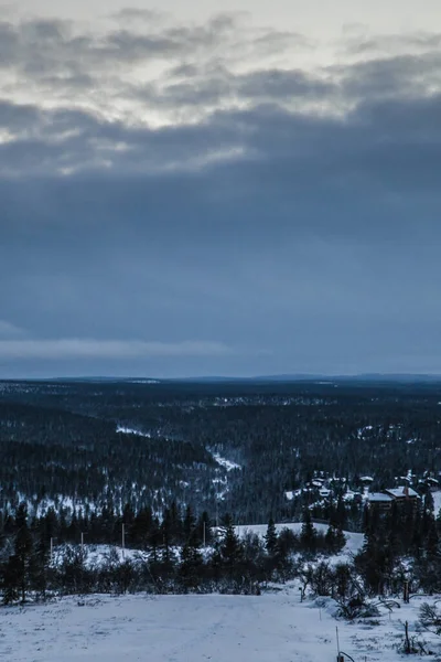 Vertikální Záběr Krásné Krajiny Pokryté Sněhem Pod Jasnou Oblohou — Stock fotografie