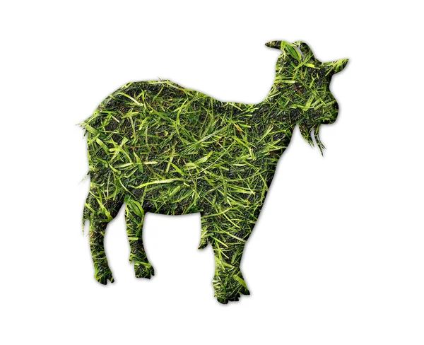 Фигура Козы Отпечатком Травы Белом Фоне — стоковое фото