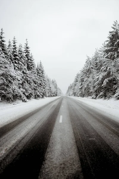 Karla Kaplı Kozalaklı Ağaçların Arasından Geçen Uzun Bir Kış Yolu — Stok fotoğraf