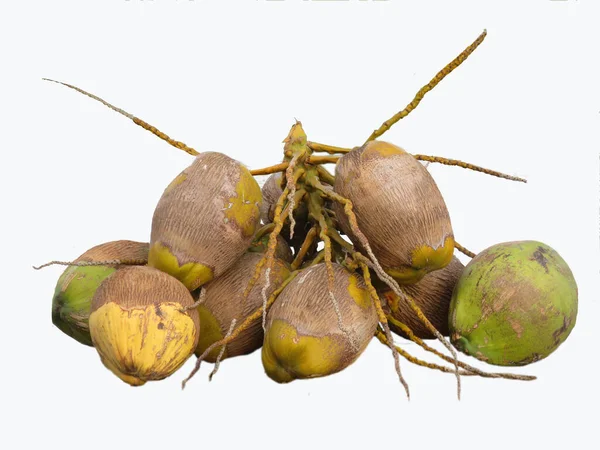 Bunch Coconuts Isolated White Background — Stock Photo, Image