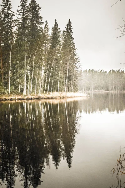 Plan Incroyable Petit Lac Dans Forêt Par Une Journée Brumeuse — Photo