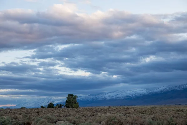 Amanecer Invierno Fuera Bishop California Sierra Nevada — Foto de Stock