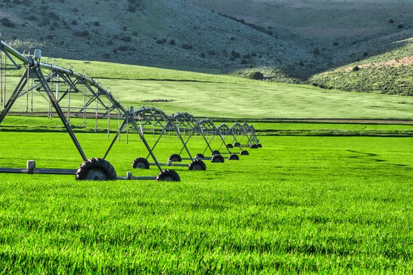 Automatyczny System Nawadniania Ogrodu Zielonej Trawie — Zdjęcie stockowe