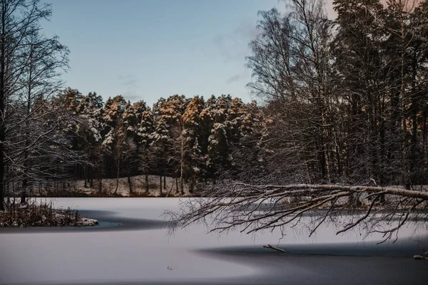 田園風景の中に緑豊かな木々と風光明媚な雪に覆われたフィールド — ストック写真
