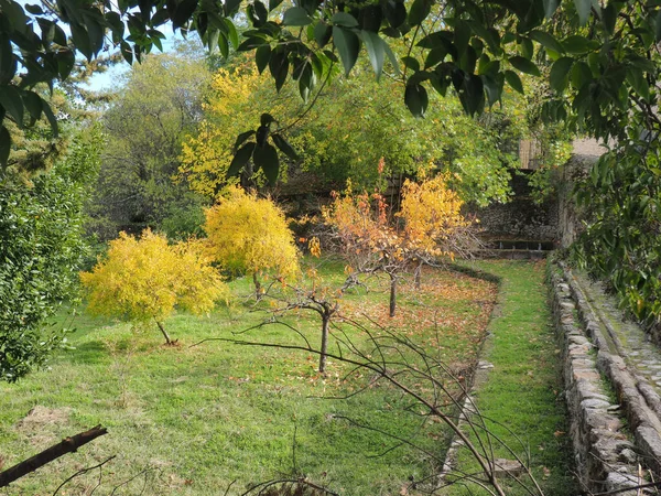 Jardín Con Árboles Erosionados Otoño —  Fotos de Stock