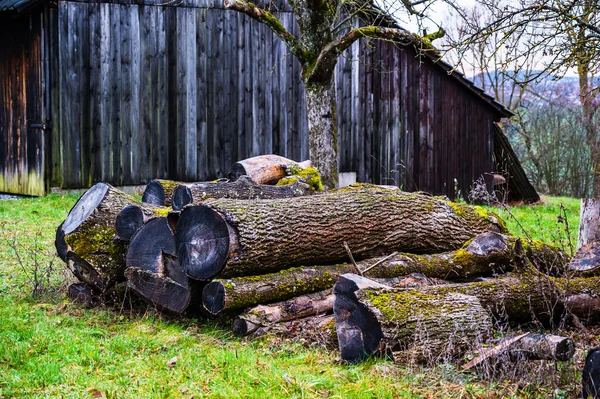 Das Gemähte Alte Und Verwitterte Holz Bedeckt Mit Flechten Und — Stockfoto
