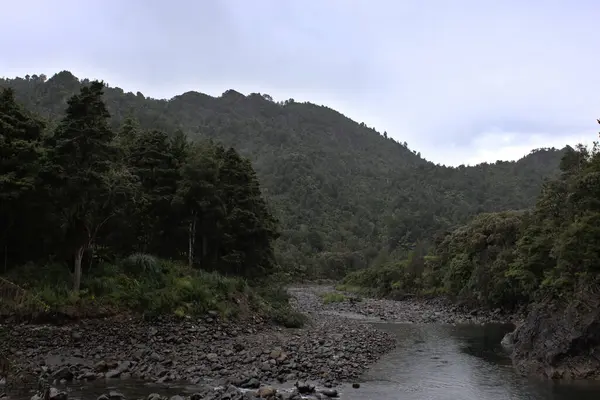 Ein Flacher Fluss Mit Bewaldeten Bergen Hintergrund — Stockfoto