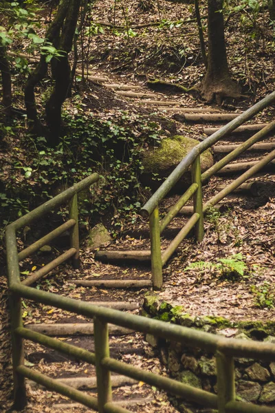公園内の古い木の階段の垂直ショット — ストック写真