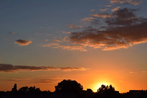 Majestuoso Paisaje Nublado Atardecer Sobre Siluetas Árboles — Foto de Stock