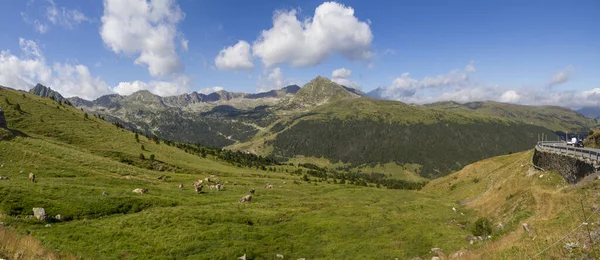 Colpo Panoramico Mucche Pascolo Campo Circondato Splendide Montagne Sotto Cielo — Foto Stock