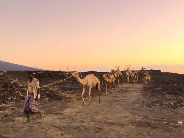 Dallol Etiopia Listopada 2017 Czasie Zachodu Słońca Pustyni Danakil Północnej — Zdjęcie stockowe