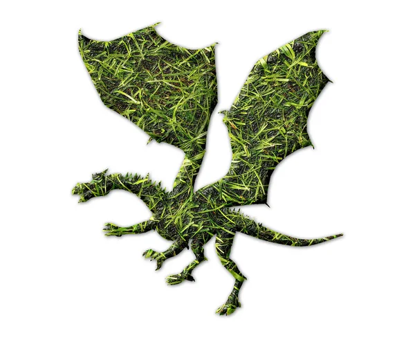 Силуэт Дракона Отпечатком Травы Белом Фоне — стоковое фото
