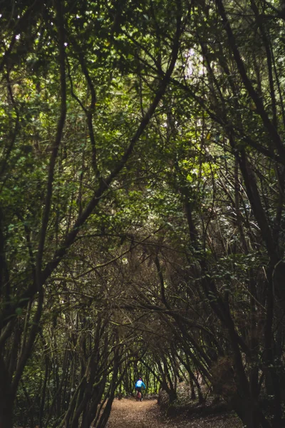 Colpo Verticale Ciclista Parco — Foto Stock